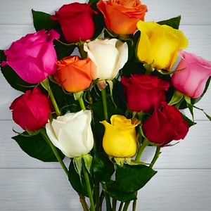 Happy Poshing to all our customers 🌹🌹🌹